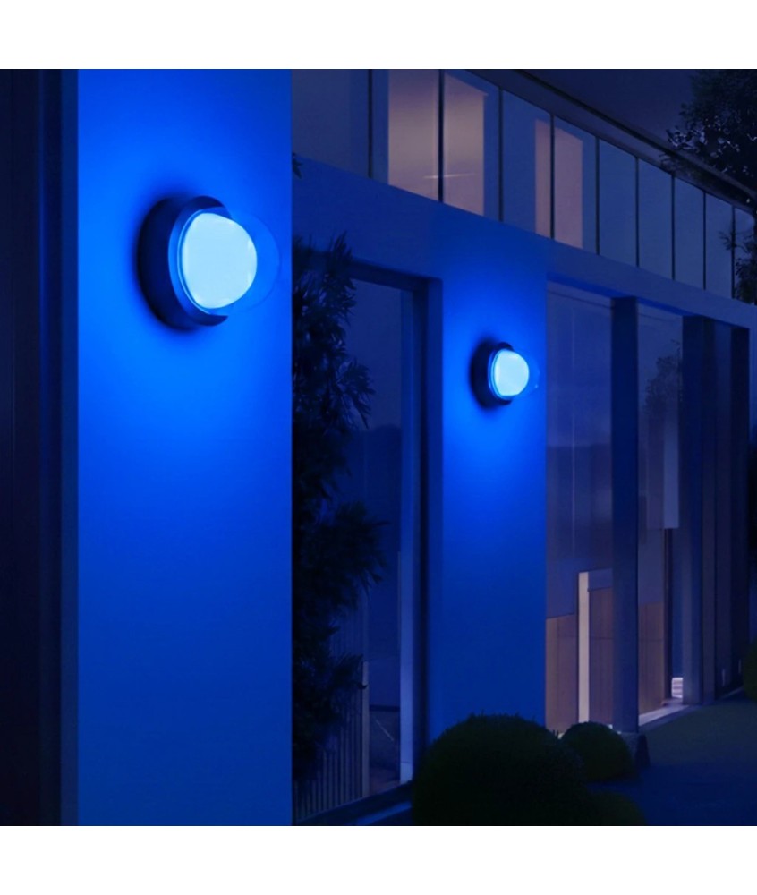 kelvo® NEXA KLV-101-0249 Φωτιστικό Τοίχου - Απλίκα LED 6W 360lm 180° AC 220-240V Αδιάβροχο IP65 Μπλε - Sanan SMD Chip & TÜV SÜD Driver - Μαύρο Ματ - Μ11 x Π8.5 x Υ11cm - 5 Χρόνια Εγγύηση